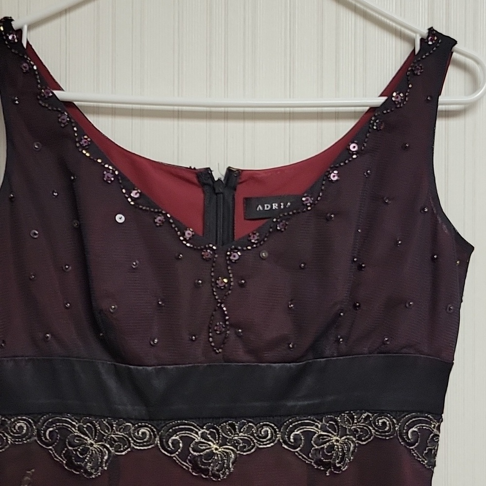 Adrianna Papell Elegant Floral Sheer  Whimsigoth Embroidered Dress, Sz 4 - Picture 3 of 7